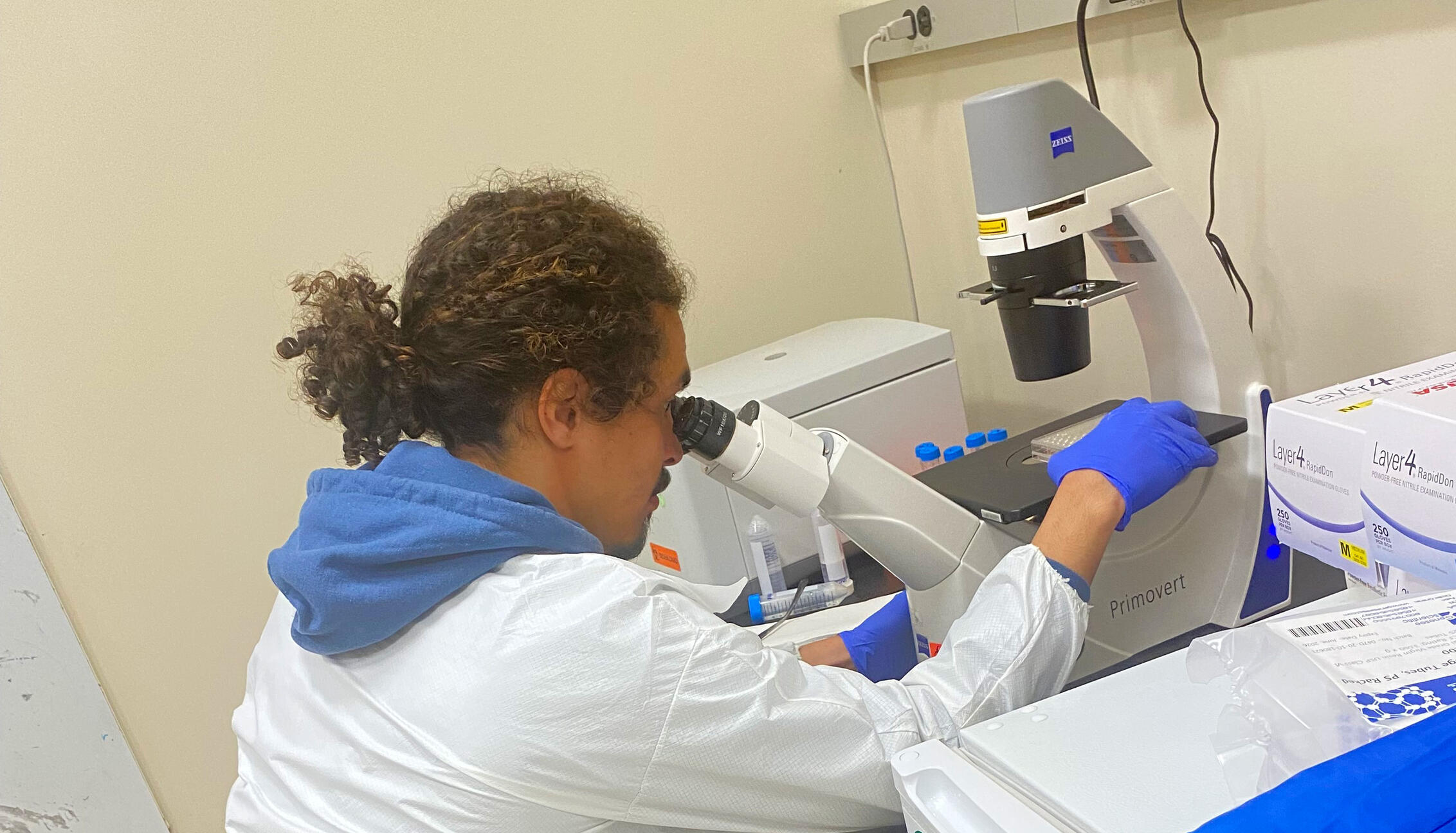 Gabriel Romero: SHURP 2020 alum and Harvard Biological and Biomedical Sciences PhD Student